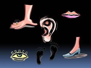 Women+body+parts+name+in+hindi