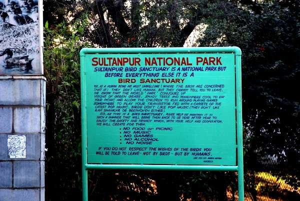 Visiting Sultanpur Bird Sanctuary, Gurgaon