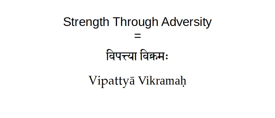 Katy Perry Sanskrit Tattoo go With the Flow in - Etsy